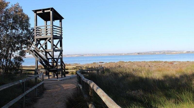 Apartamento Vistas La Mata Playa エクステリア 写真