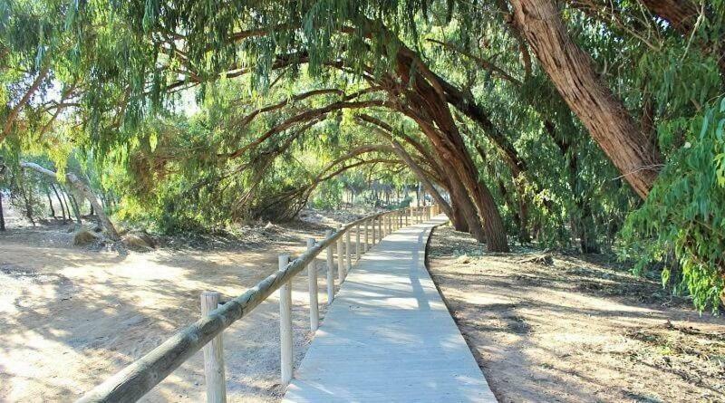 Apartamento Vistas La Mata Playa エクステリア 写真